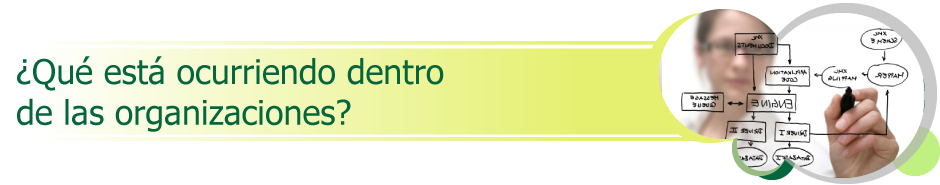 ¿Qué está ocurriendo dentro de las organizaciones?